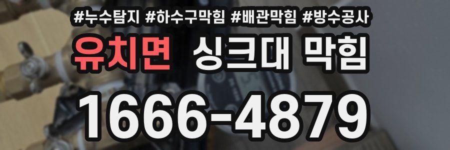유치면 싱크대 막힘