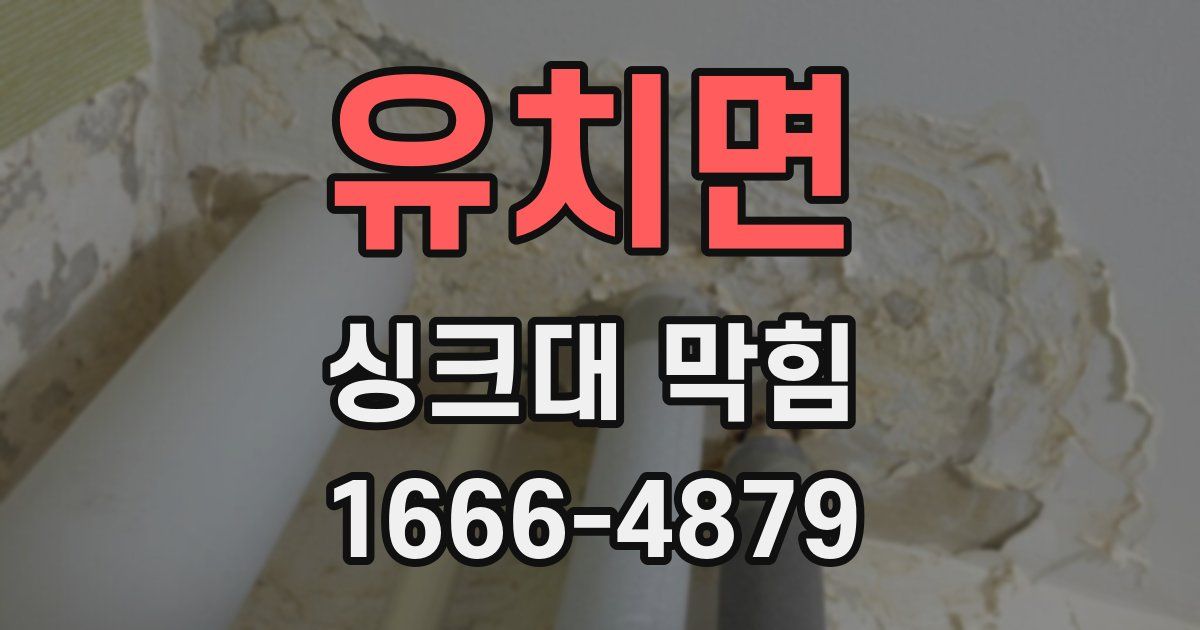 유치면 싱크대 막힘