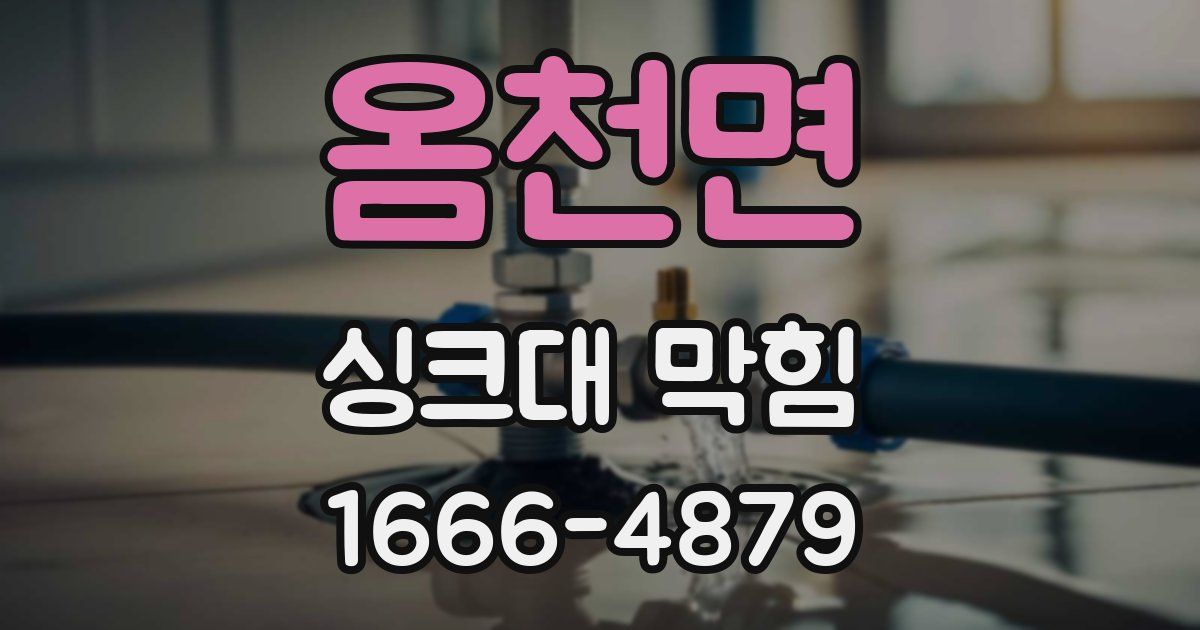 옴천면 싱크대 막힘