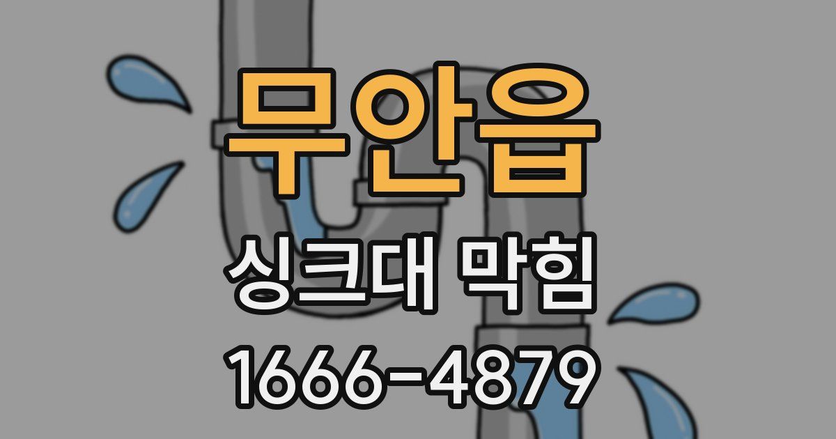 무안읍 싱크대 막힘