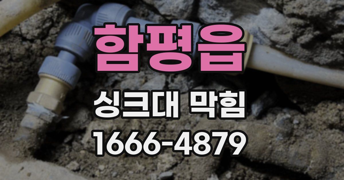 함평읍 싱크대 막힘