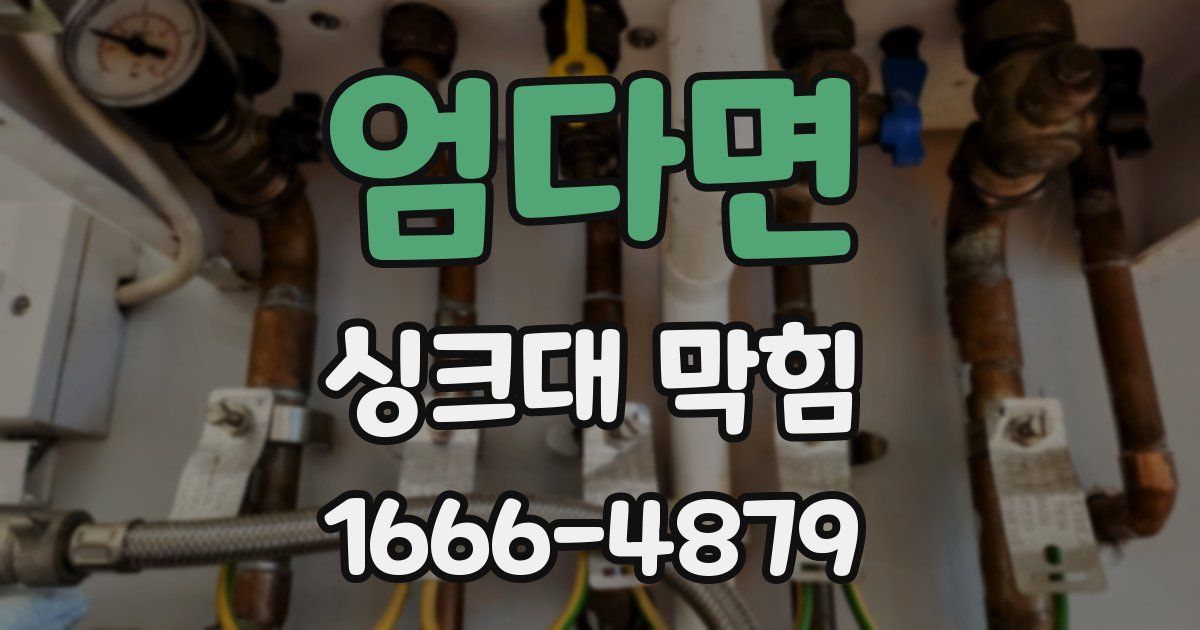 엄다면 싱크대 막힘