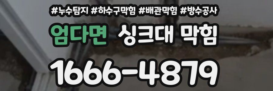 엄다면 싱크대 막힘
