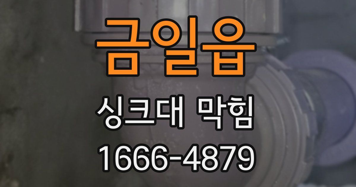 금일읍 싱크대 막힘