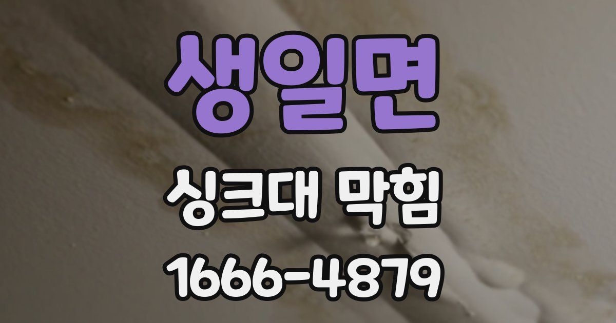 생일면 싱크대 막힘