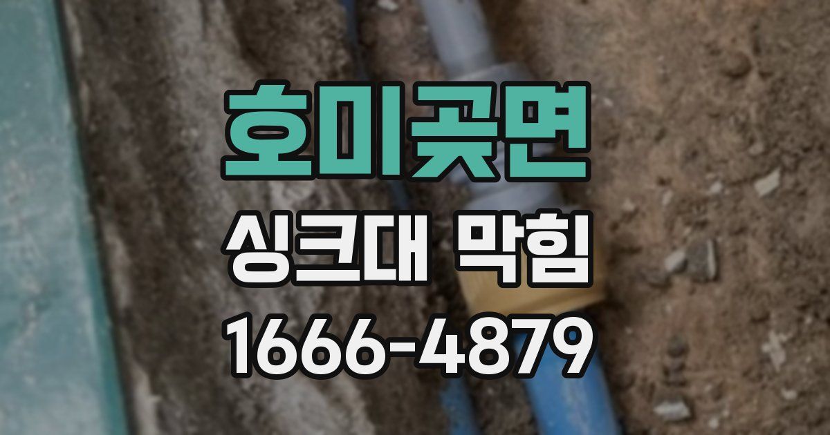호미곶면 싱크대 막힘