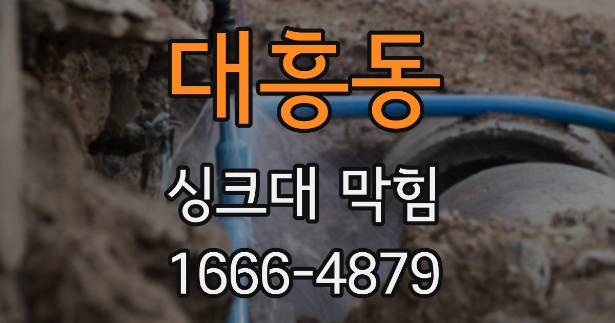 대흥동 싱크대 막힘