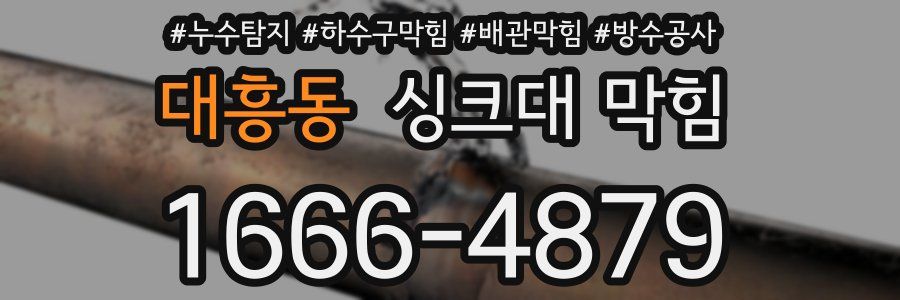대흥동 싱크대 막힘