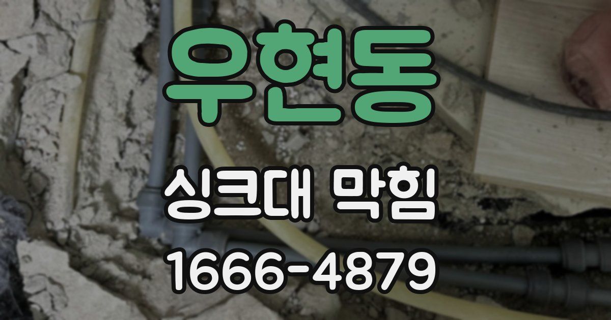 우현동 싱크대 막힘