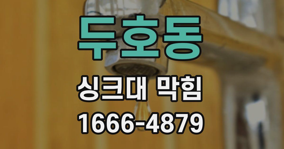 두호동 싱크대 막힘