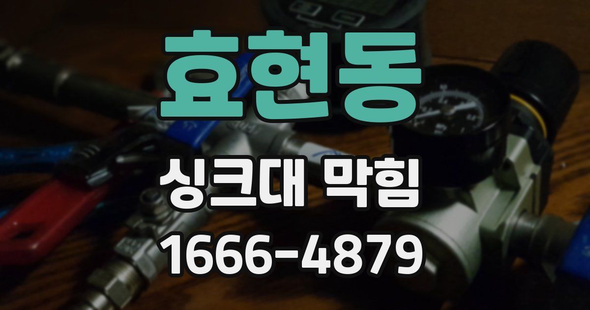 효현동 싱크대 막힘