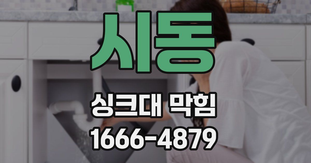 시동 싱크대 막힘