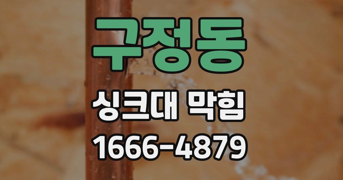 구정동 싱크대 막힘