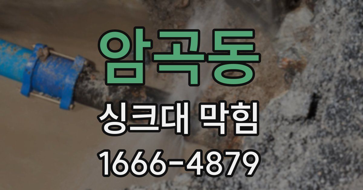 암곡동 싱크대 막힘
