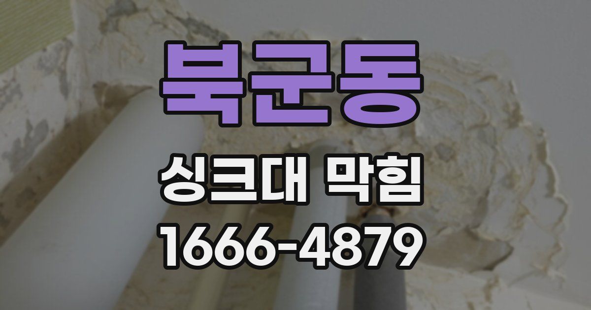 북군동 싱크대 막힘