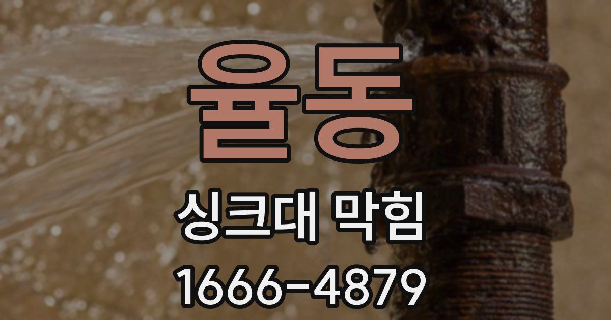 율동 싱크대 막힘