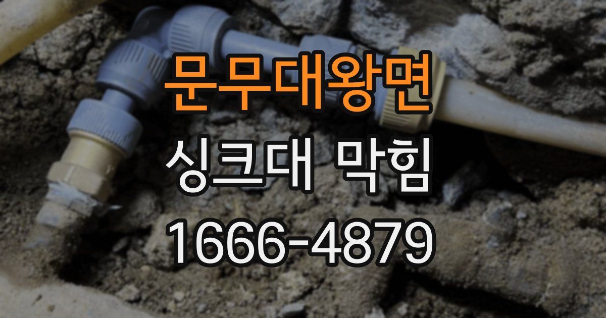 문무대왕면 싱크대 막힘