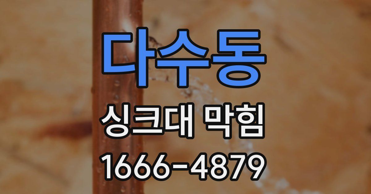 다수동 싱크대 막힘