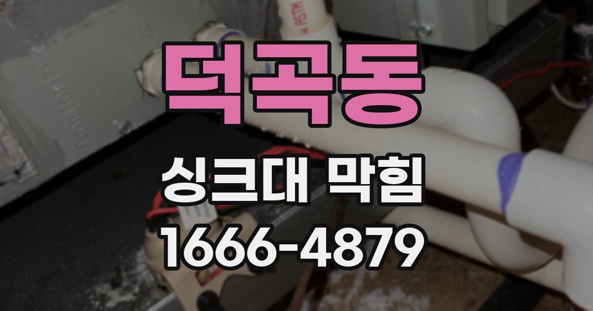 덕곡동 싱크대 막힘