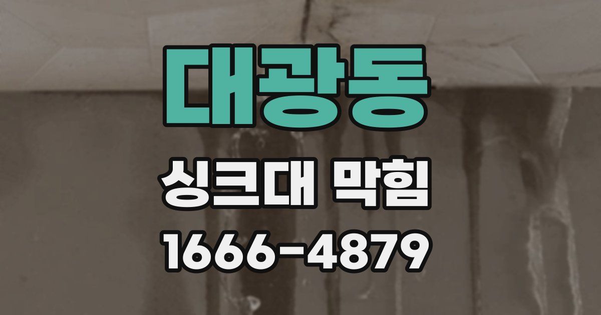 대광동 싱크대 막힘