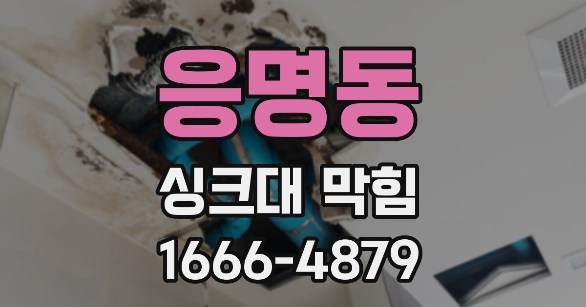 응명동 싱크대 막힘