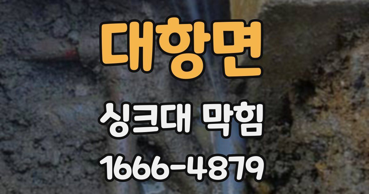 대항면 싱크대 막힘