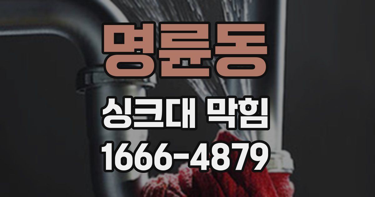 명륜동 싱크대 막힘