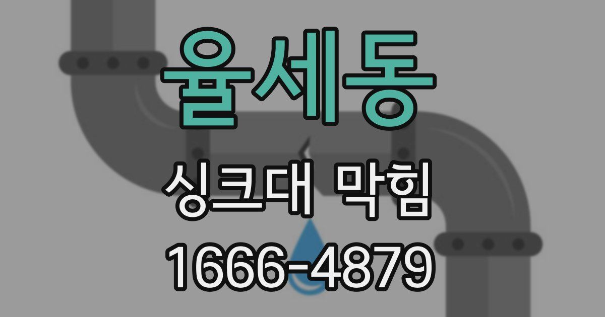 율세동 싱크대 막힘