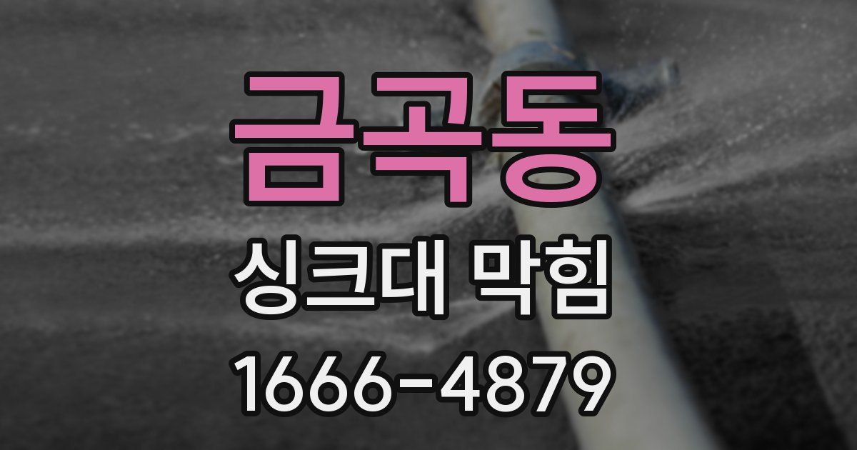 금곡동 싱크대 막힘