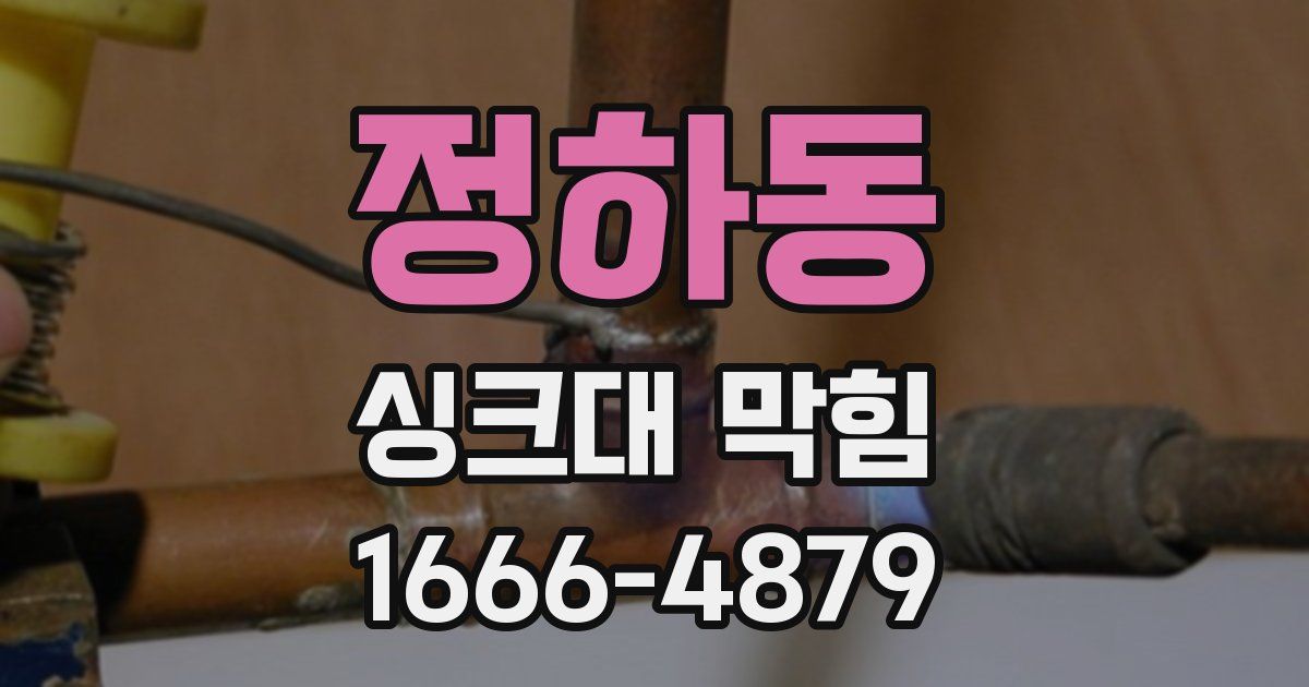 정하동 싱크대 막힘