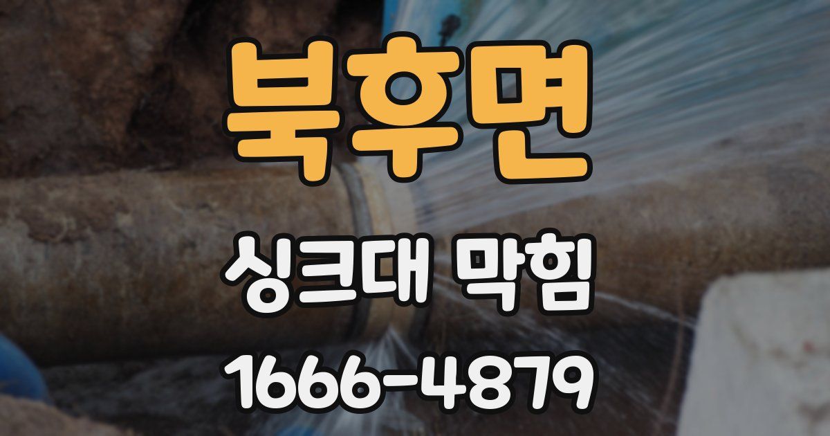 북후면 싱크대 막힘