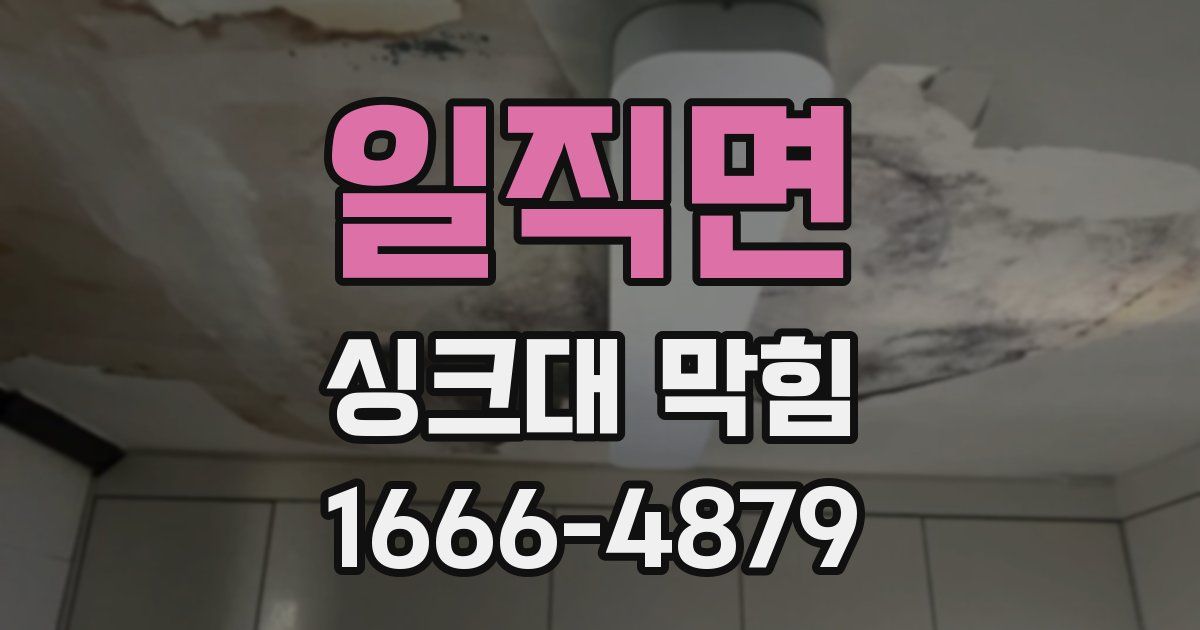 일직면 싱크대 막힘