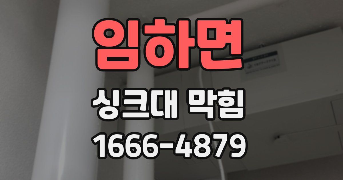 임하면 싱크대 막힘