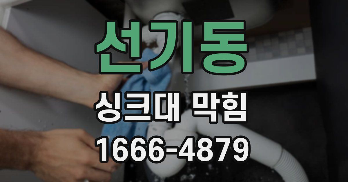 선기동 싱크대 막힘