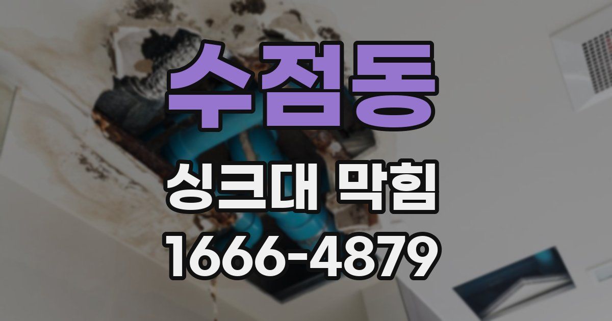 수점동 싱크대 막힘