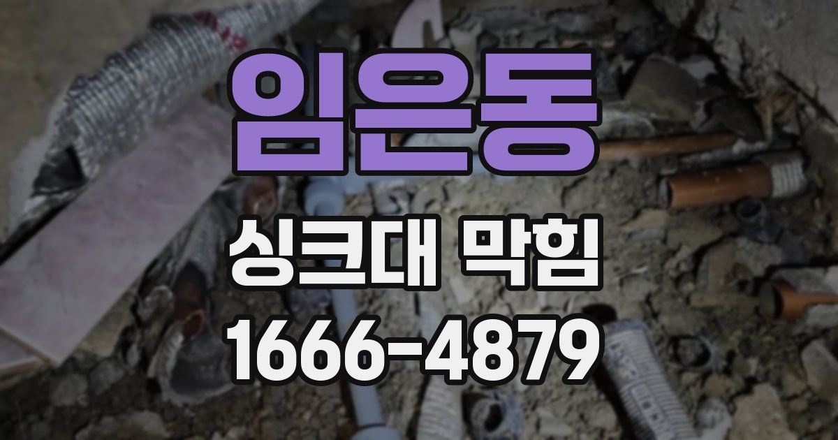 임은동 싱크대 막힘
