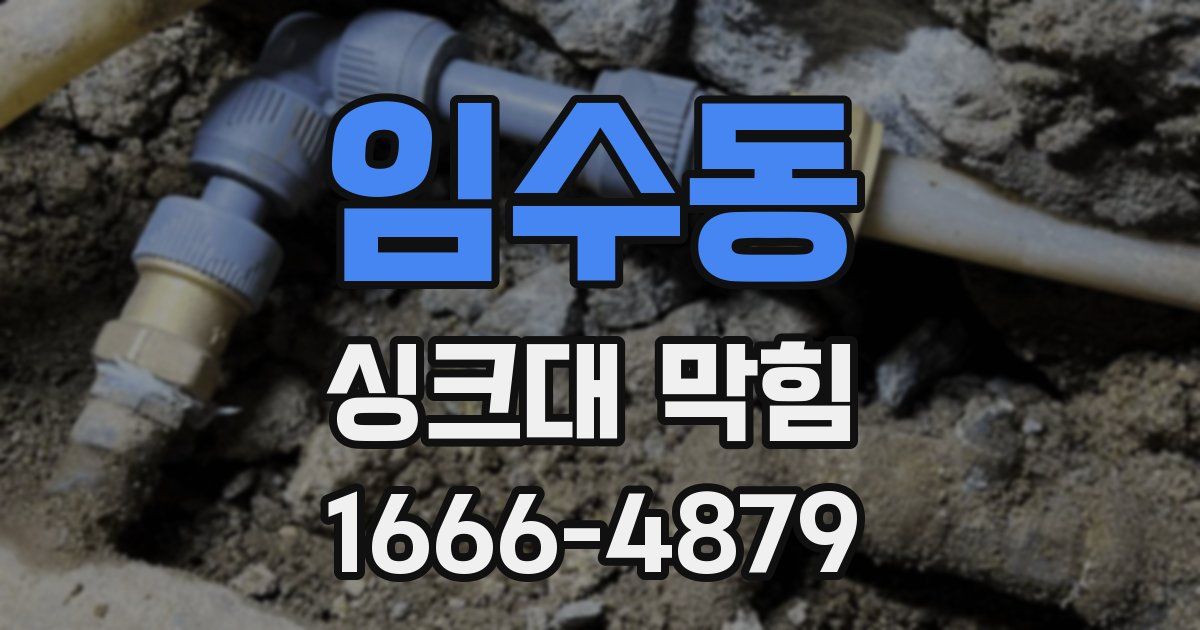 임수동 싱크대 막힘