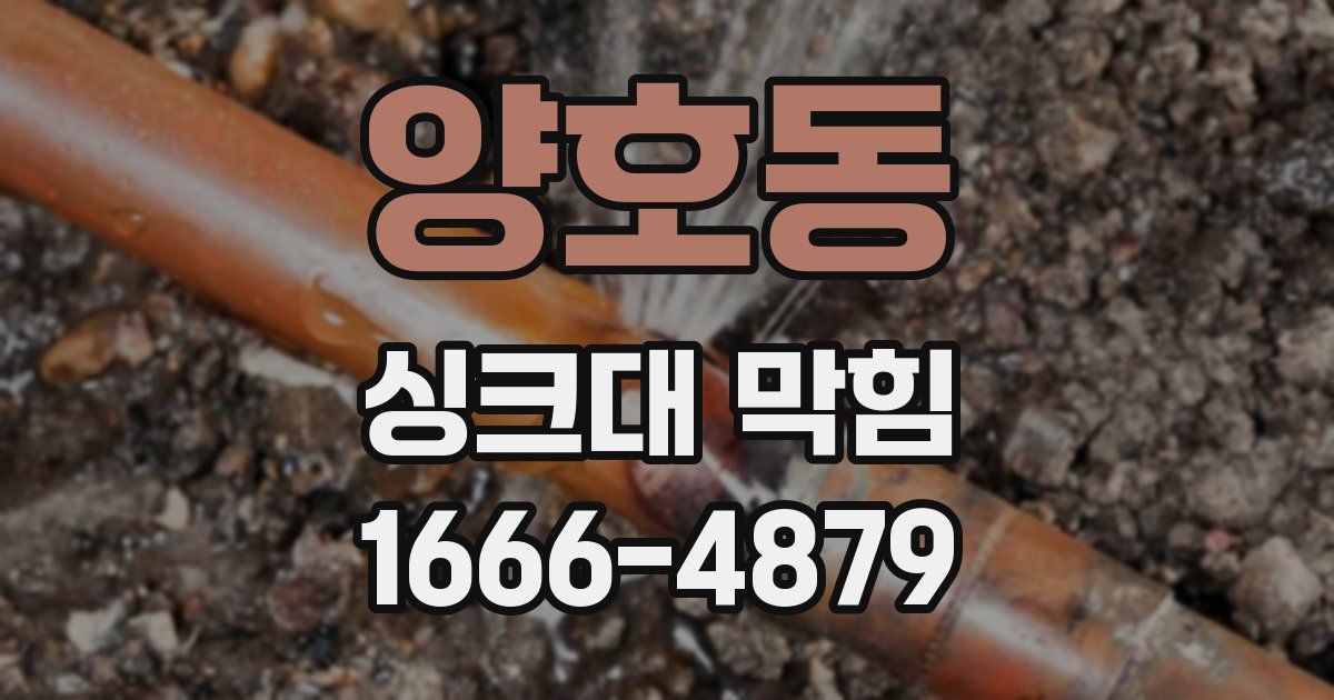 양호동 싱크대 막힘