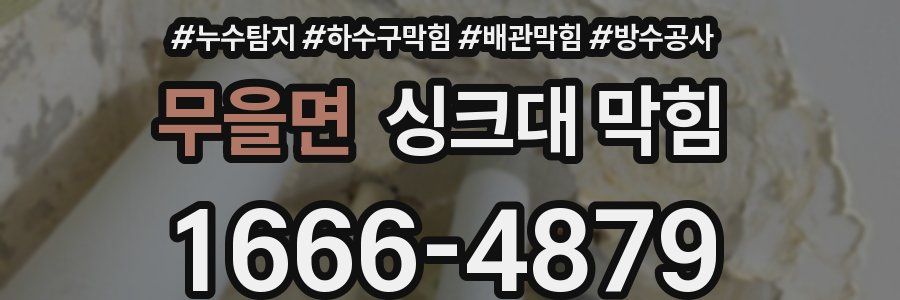무을면 싱크대 막힘