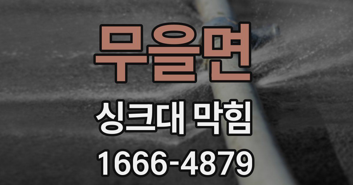 무을면 싱크대 막힘