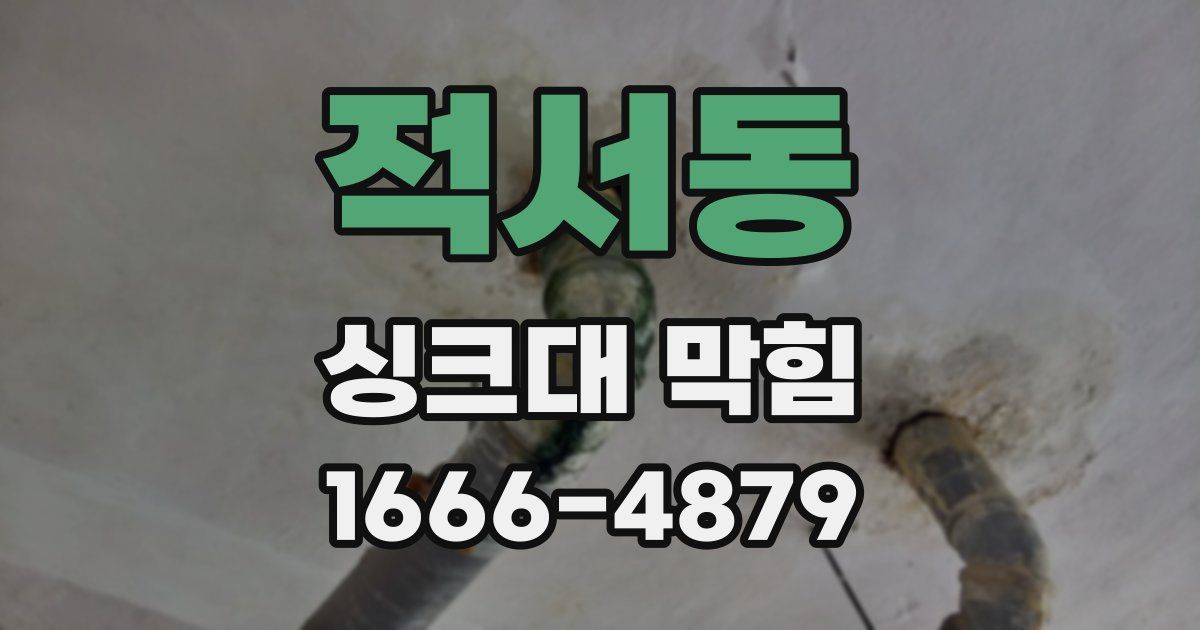 적서동 싱크대 막힘