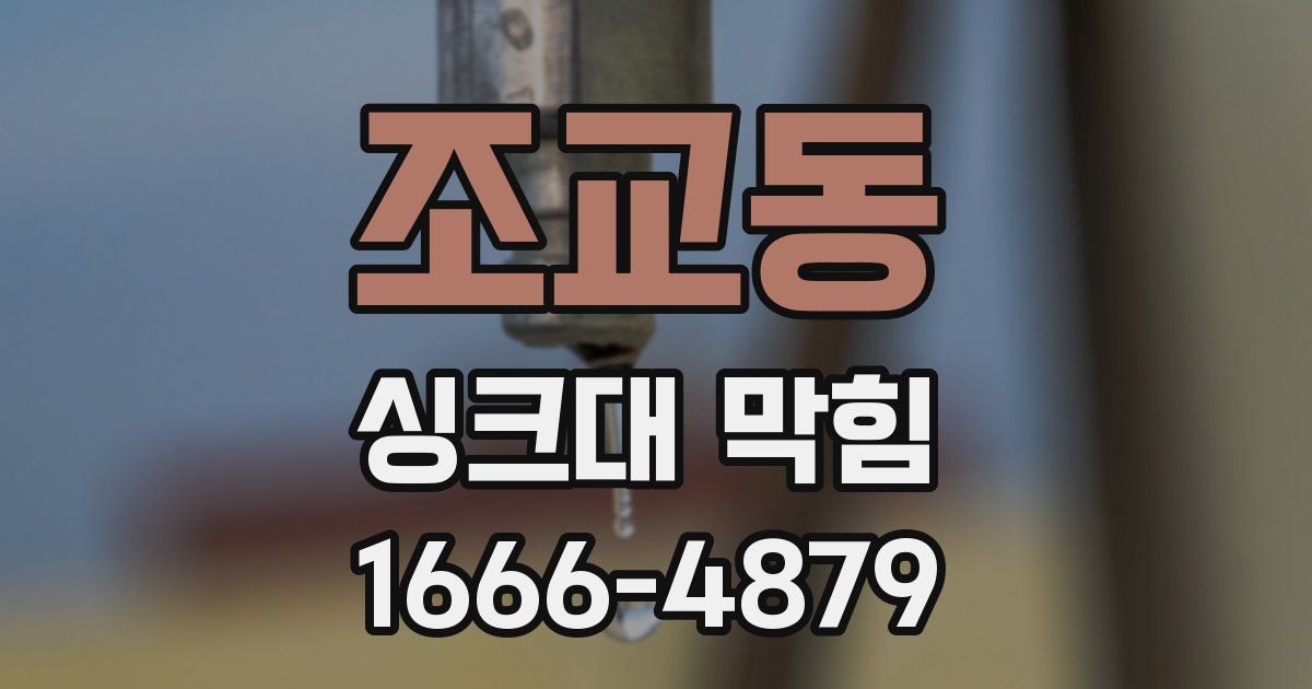 조교동 싱크대 막힘