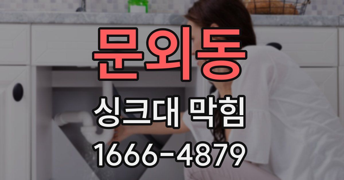 문외동 싱크대 막힘