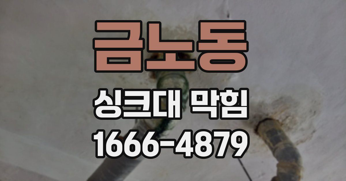 금노동 싱크대 막힘