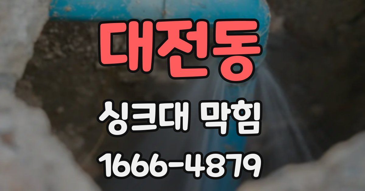 대전동 싱크대 막힘