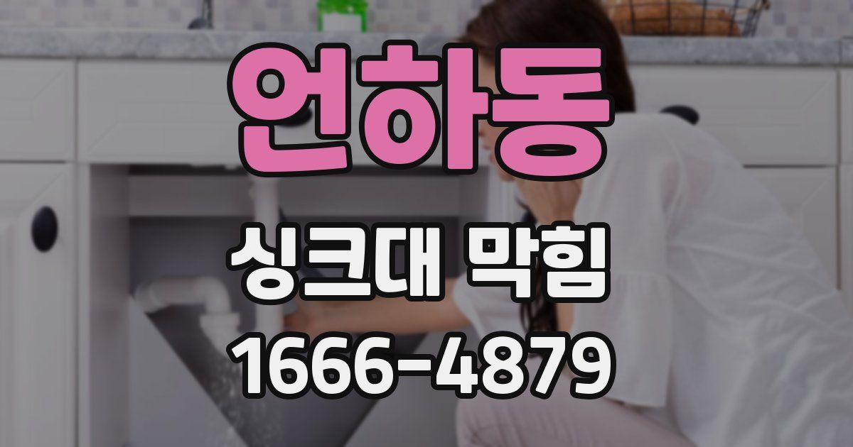 언하동 싱크대 막힘