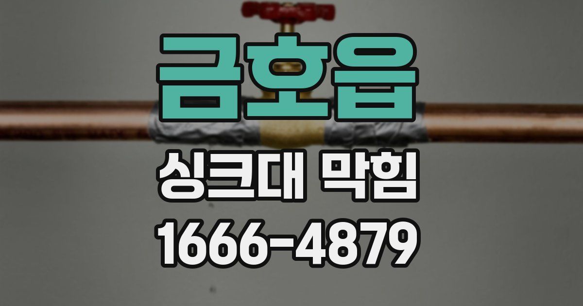 금호읍 싱크대 막힘