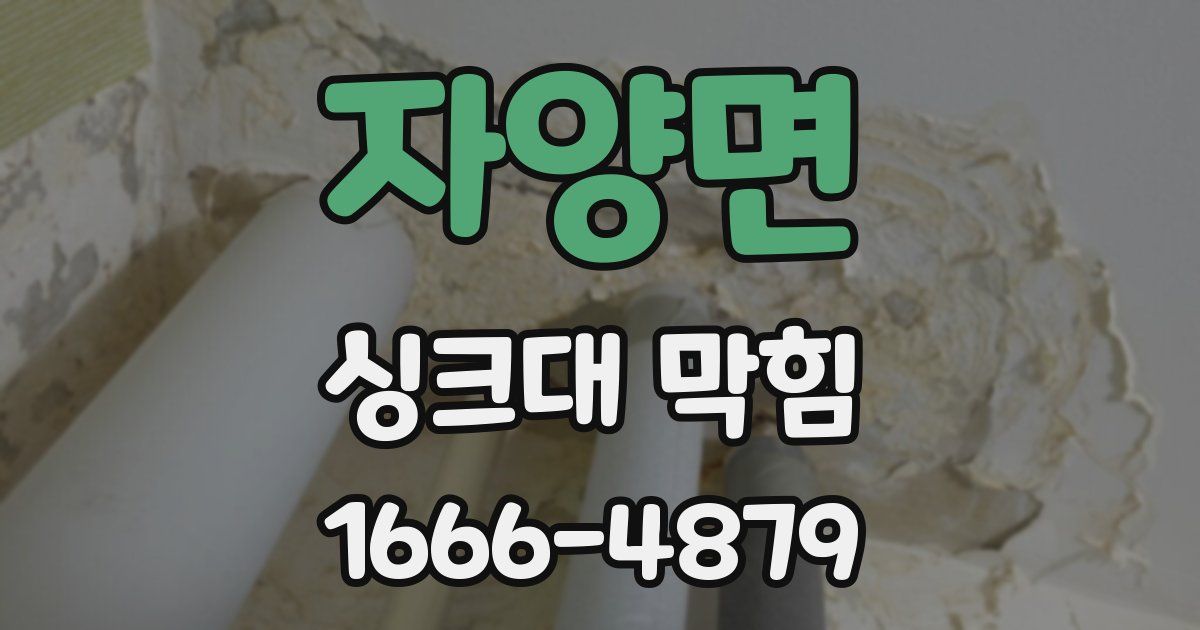 자양면 싱크대 막힘