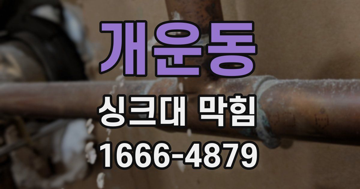 개운동 싱크대 막힘