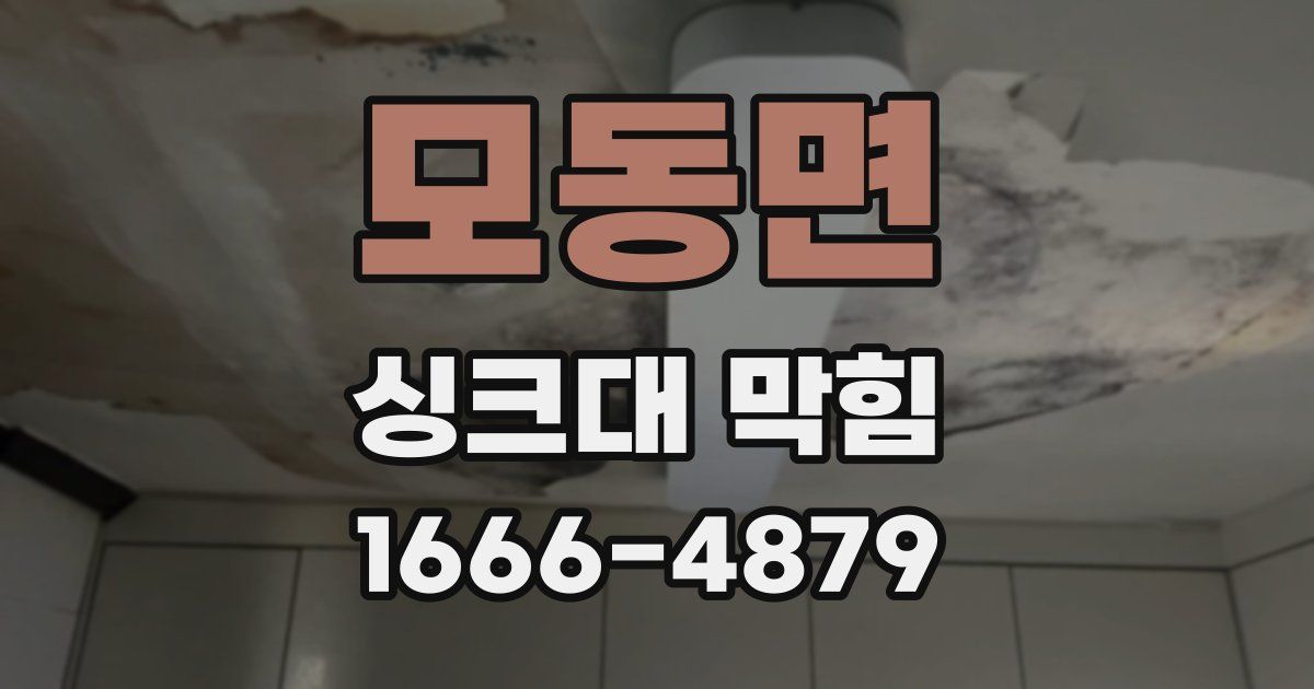 모동면 싱크대 막힘